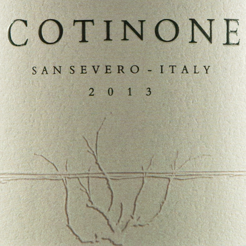 italiaanse-rode-wijn-puglia-cotinone-coppadoro