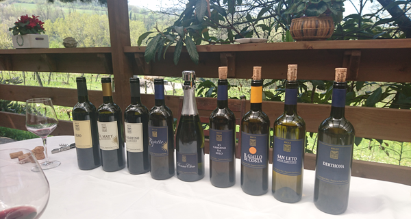 Vino & Vetro exclusieve Italiaanse wijnen