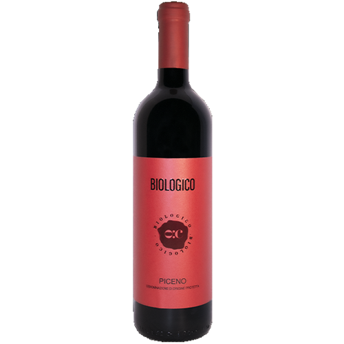 Rosso Piceno Biologico 2022