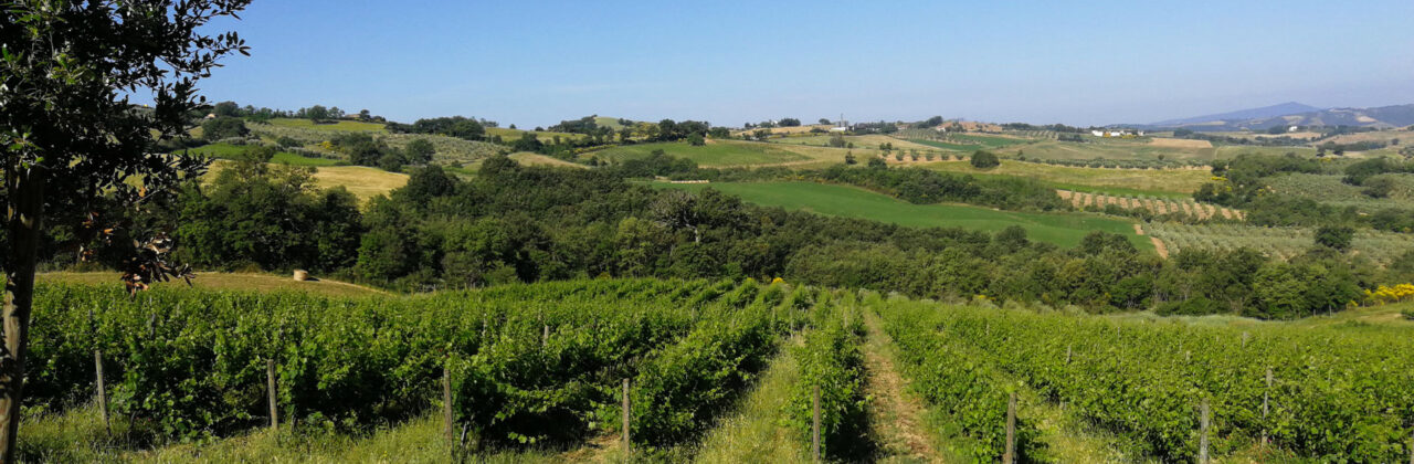 Koekoek: “special deal” voor onze Maremma Toscana