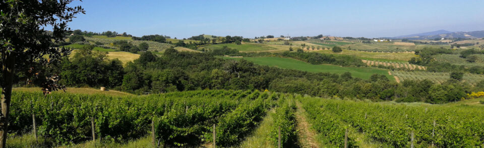 Koekoek: “special deal” voor onze Maremma Toscana