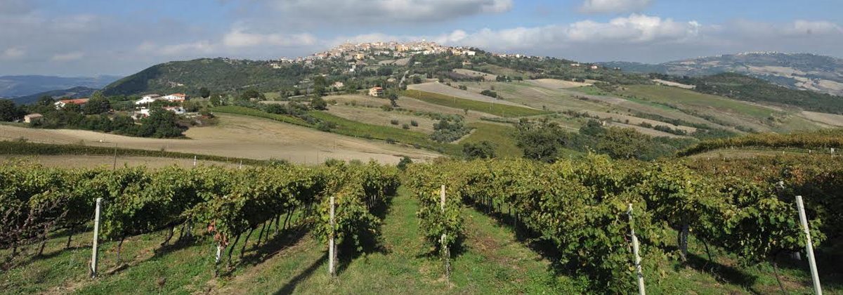 Nieuw: Tintilia van Claudio Cipressi uit Molise